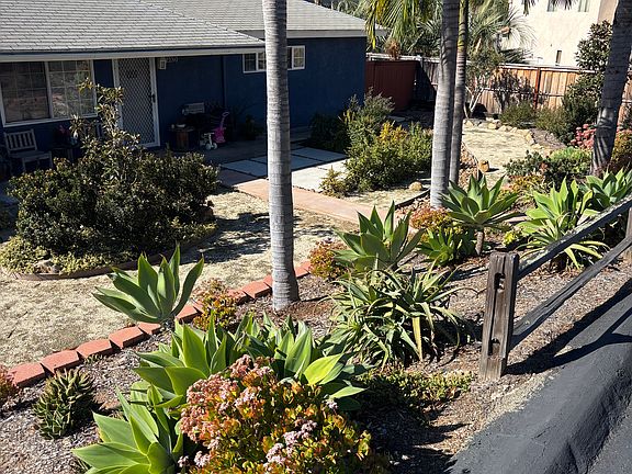 Side view of the front yard.