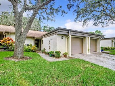 3205 Green Dolphin St, Tarpon Springs, FL, 34689