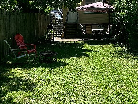 Back yard