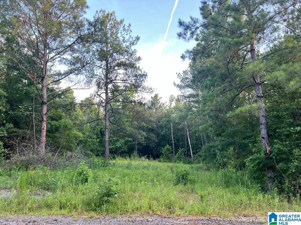 59 County Road 976 #1, Jemison, AL 35085