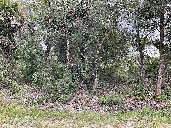 5th image of 15624 NW 306th Street