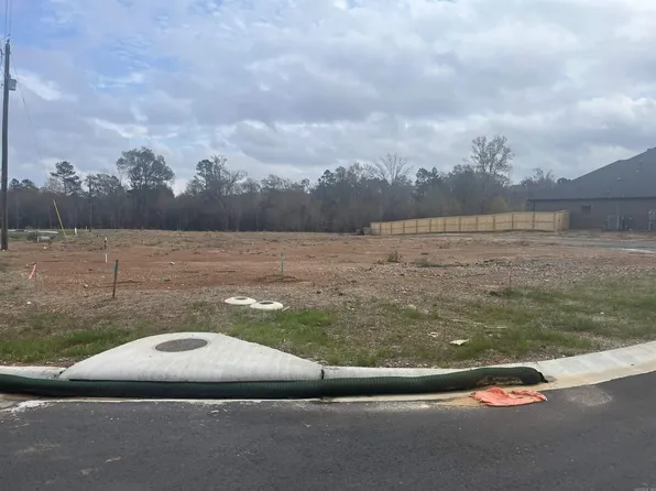 8000 Creek Rock Cv, Alexander, AR 72002