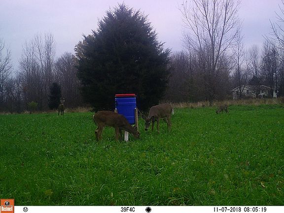 2nd image of 10640 E Vw Ave