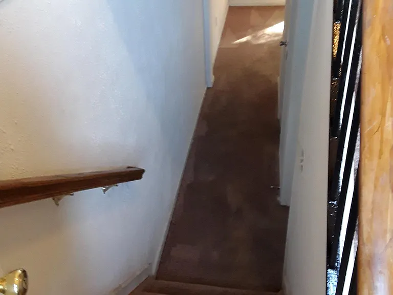 31 Beaver Oak Ct — Photo 9