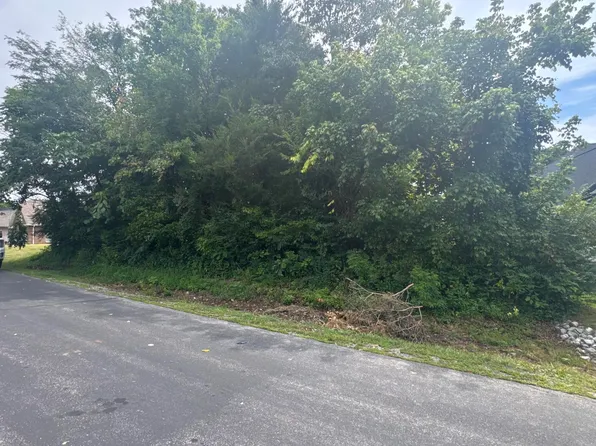 143 Daleyuhski Way, Tellico Plns, TN 37774