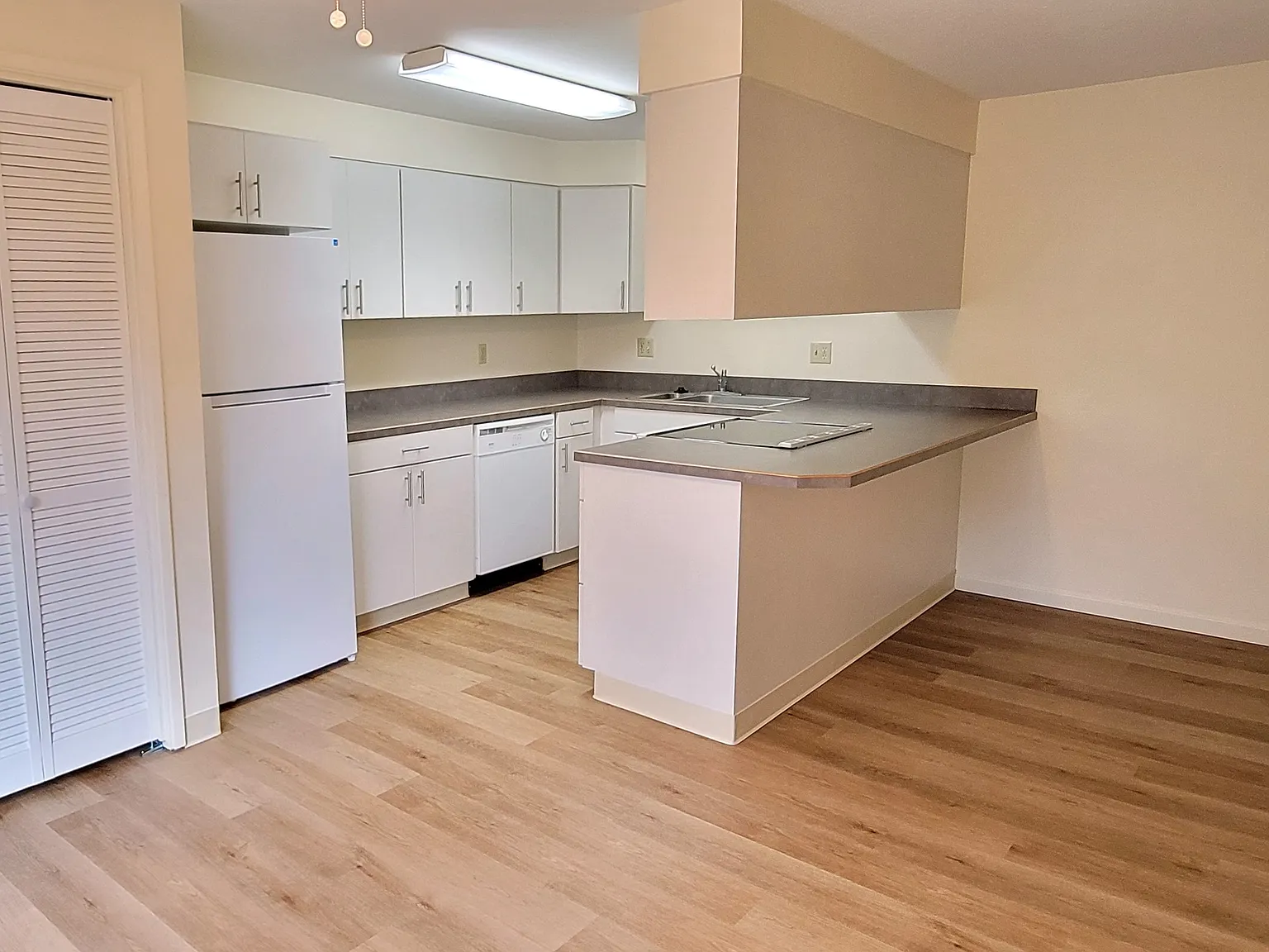 3 bed, 1068 sqft, $1,450 — Photo 4