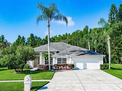 18910 Saint Laurent Dr, Lutz, FL, 33558