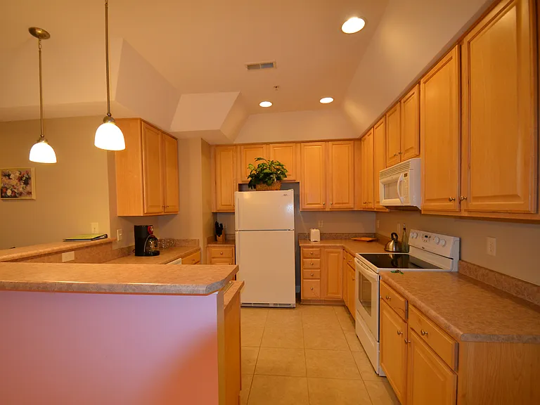 908 Resort Cir #703 — Photo 7