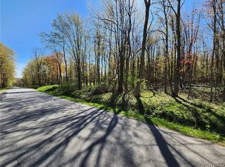 0A Luther Rd, East Aurora, NY 14052