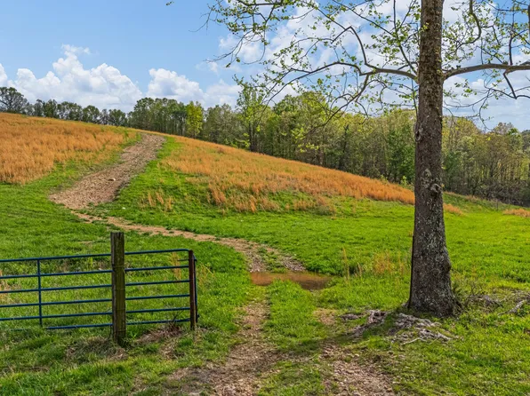 550 County Road 1990, Willow Springs, MO 65793