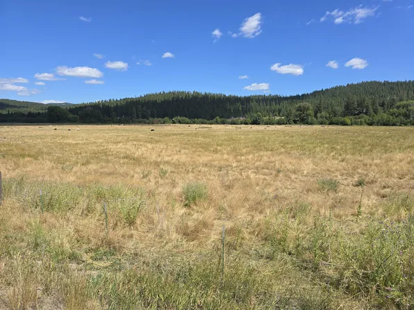 13XX Kitt Narcisse Rd, Colville, WA 99114
