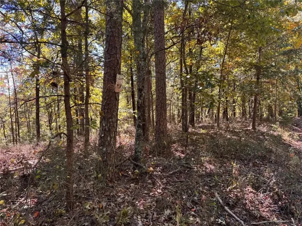 1213 Jewel Ct NE Lot 1213, Ranger, GA 30734