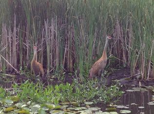 10116 Pearson, Pinckney, MI 48169