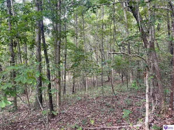 7 Tanyard Hollow Rd, Munfordville, KY 42765
