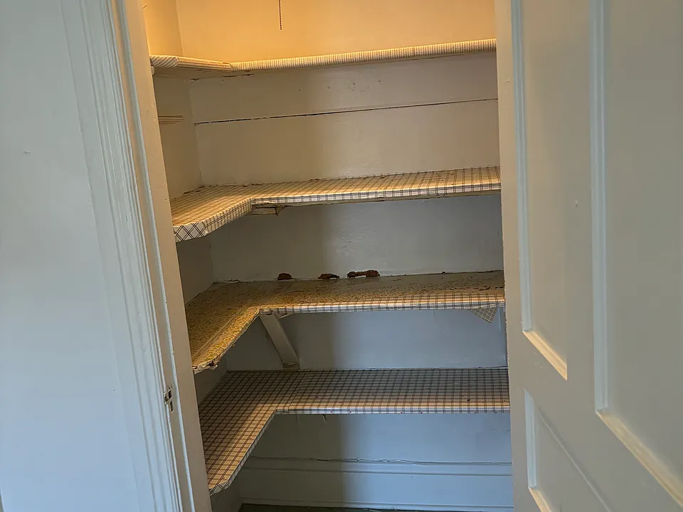 Spacious pantry in the kitchen.