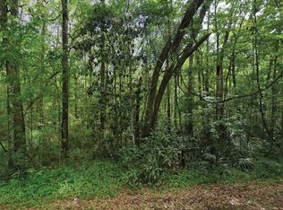 SCENIC DRIVE LOT 15, MIDDLEBURG, FL 32068