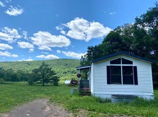 2369 Back River Rd, Delancey, NY 13752