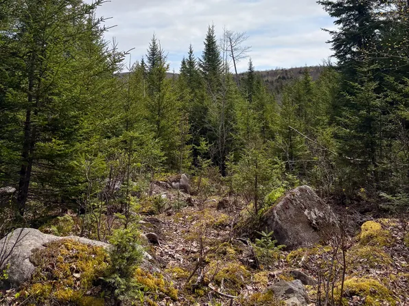 Lot 10 Morrison Brook Acres, Oakfield, ME 04763