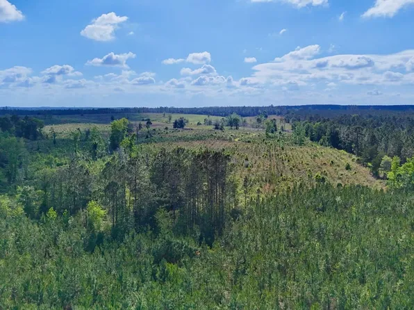 4 Oscar Tippins Rd, Baxley, GA 31513
