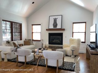 519 W Main St #D101, Aspen, CO 81611