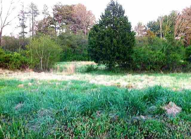 1st image of 0 County Road 7030 Lot 22