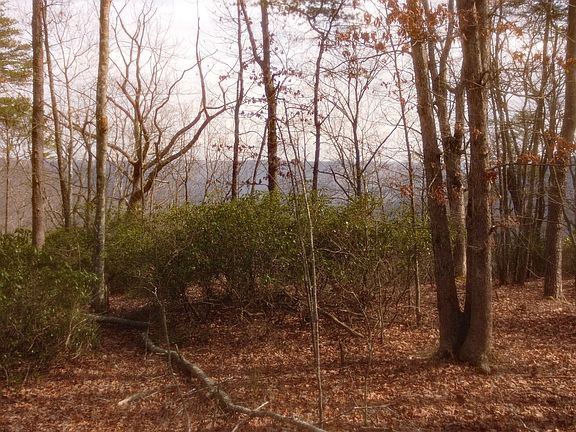 2nd image of 0 Ravens Den Rd #8