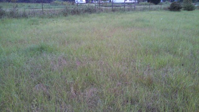 2nd image of 6059 Old Adel Rd