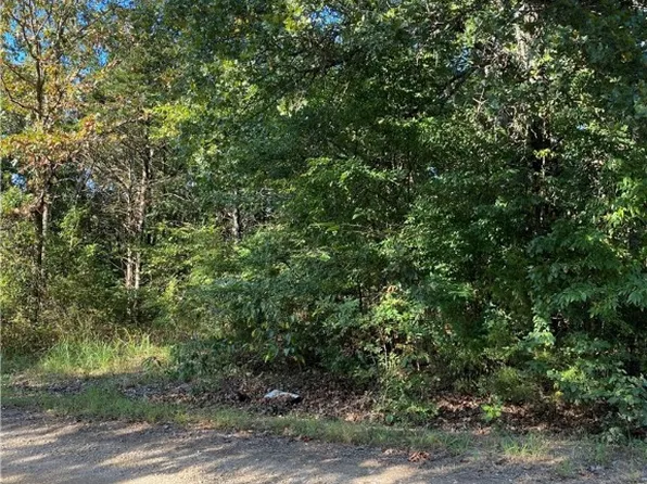 N West Ave #18, Lead Hill, AR 72644