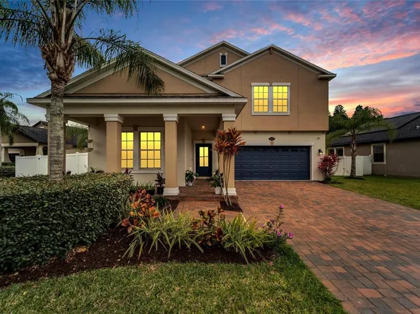 19478 Paddock View Dr, Tampa, FL 33647