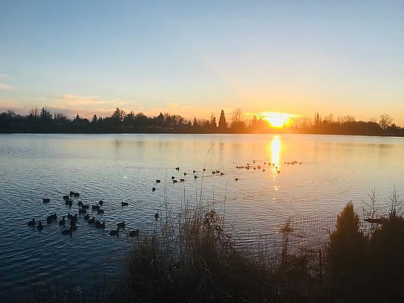 Webb Lake, a couple of blocks away