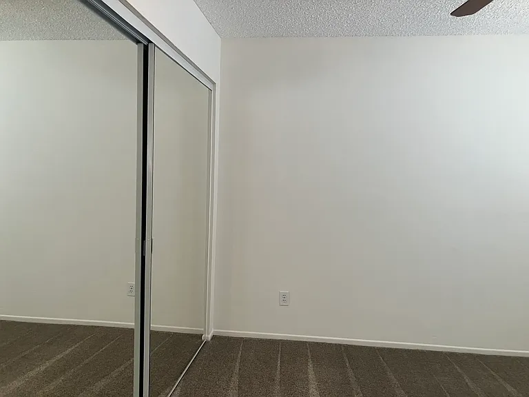 Mirror closet in bedroom 1