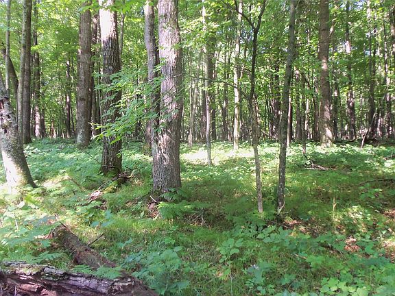 5th image of Lot 2 Howard Johnson Trail