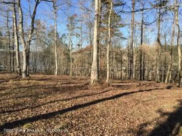 38 Brushy Ln, Arley, AL 35541