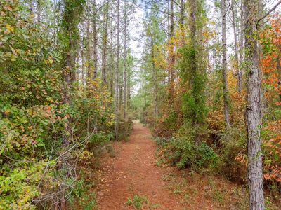 Pine Bluff Trl, Tallahassee, FL, 32312