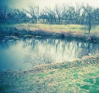 1st image of 1106 County Road 402