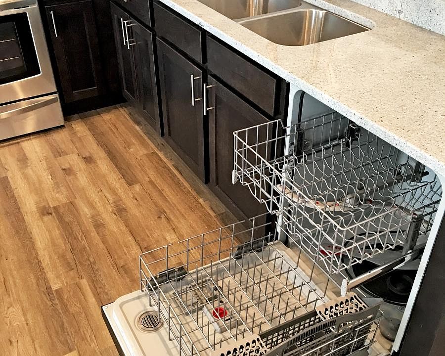 Dishwasher and garbage disposal