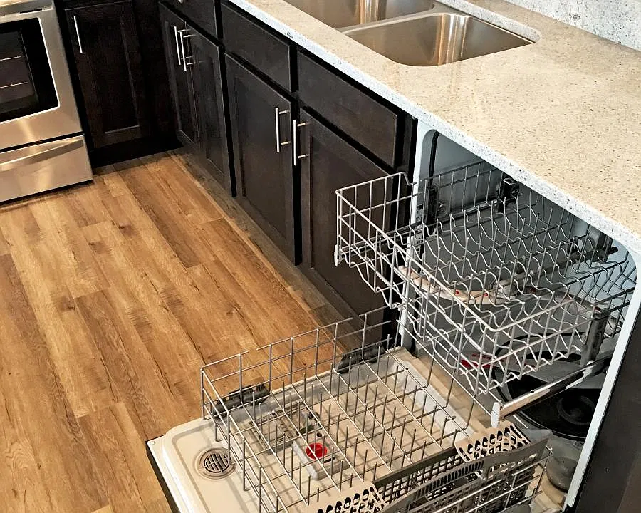 Dishwasher and garbage disposal
