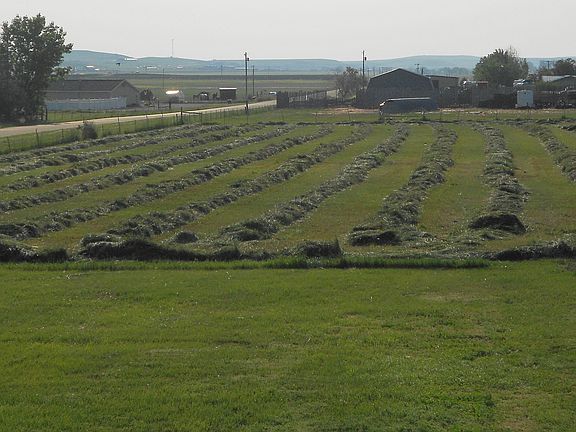 View from back deck
