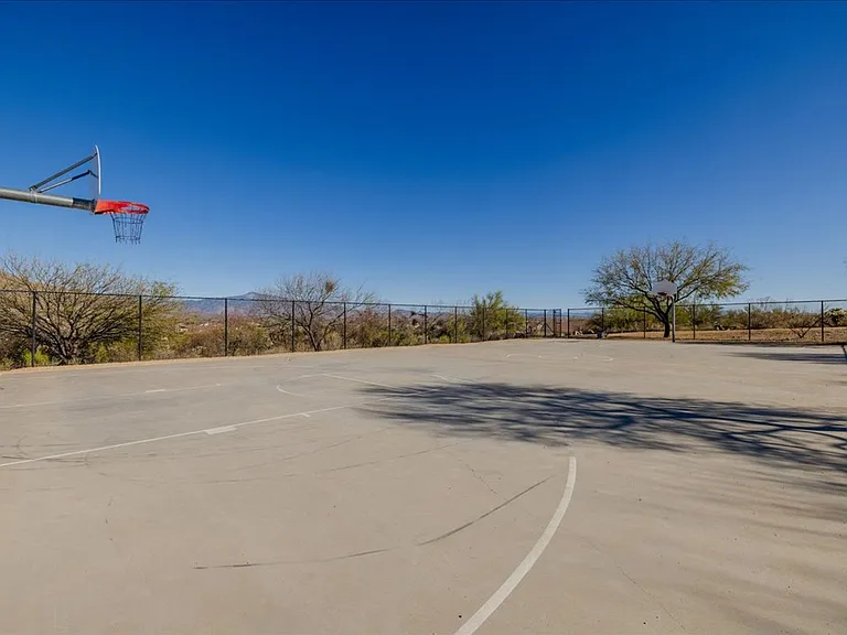 10787 E Orchid Cactus Ln — Photo 36