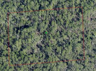Lake Harney Rd Lot 115, Osteen, FL 32764