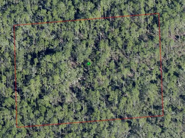 Lake Harney Rd Lot 115, Osteen, FL 32764