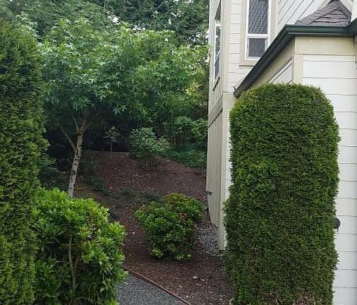 Side of Lunits.. walkway through to backyard