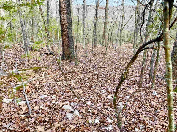 0 Coweta Dr, Cherokee Village, AR 72529