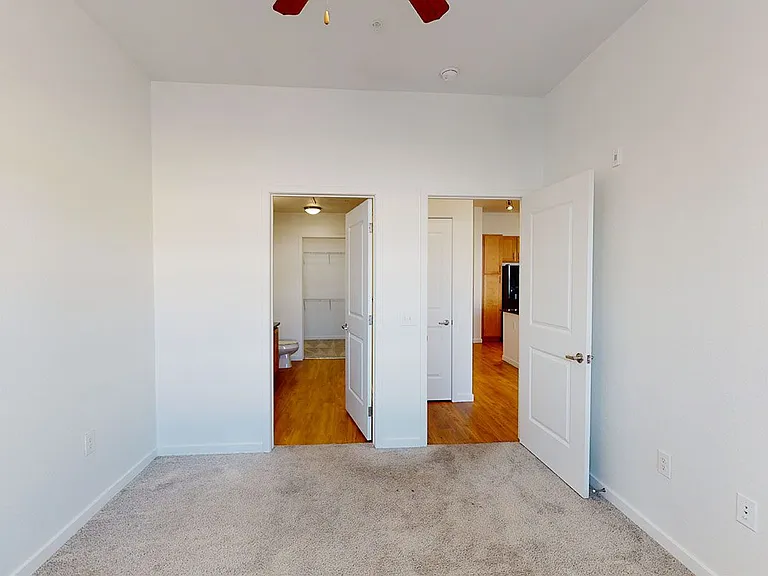 Spacious apartment bedroom with large closet, attached bathroom and plush carpet flooring.