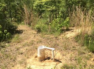 575 Meadowlark Rd, Little Mountain, SC 29075