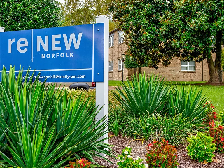 ReNew Norfolk — Photo 19