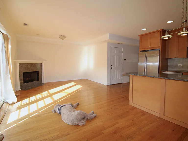 917 N Ashland Ave #2 — Photo 4