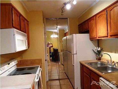 Kitchen and laundry (behind the door)