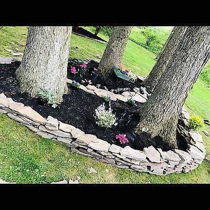 Front garden with walkway 
