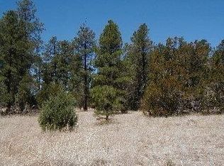 3120 Whitetail Way, Overgaard, AZ 85933